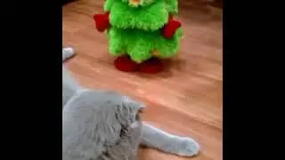 Скоро Новый год