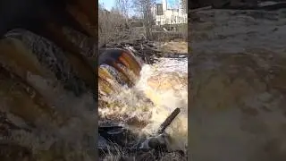 РЕКА ЛОСОСИНКА