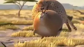 Если бы дикие животные ели фастфуд