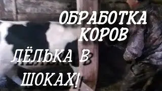[VashaYana]-ЛЁЛЬКА В ШОКАХ!🐄/Весенняя обработка коров.