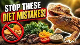5 Deadly Diet Mistakes Bearded Dragon Owners Make!