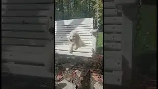 Swinging in the Sun