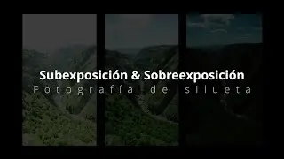 👉  ¿¿Qué es la subexposición y la sobreexposición⁇  👈  y como hacer 📷 FOTOGRAFÍA DE SILUETA 📸
