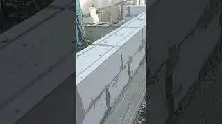 Полтора месяца моего отсутствия!