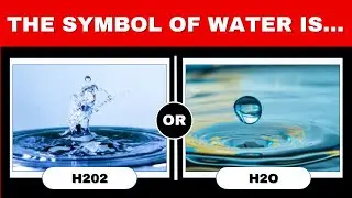 Do You Know the Answer? 🤓🧠🤯 Play This General Knowledge Question Challenge
