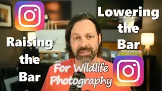 Wildlife Photography and Instagram - Raising and Lowering the Bar