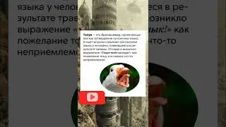 #youtubeshorts