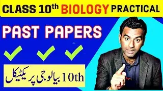 10th bio practical past papers 10th biology peactical| 10th bio practical 2024|important practicals