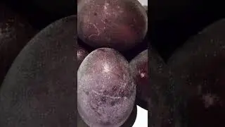 Shimmering EGGS in wine for EASTER 2024 # 