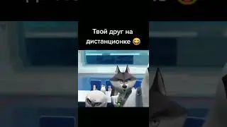 Название не помню, но кто-то напишет😁 И не забудь отметить друга дурочка🤪