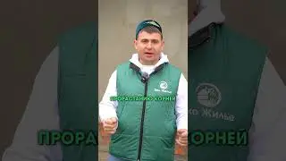 Как сделать отмостку правильно💥