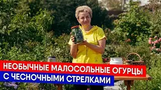 Необычные МАЛОСОЛЬНЫЕ ОГУРЦЫ с чесночными стрелками