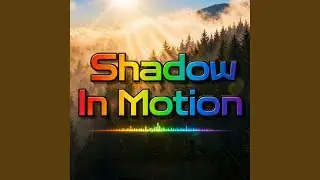 Shadow in Motion