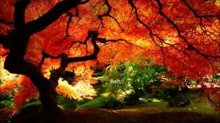 Erik Satie - Gymnopédies (Complete)