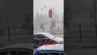 Новосибирск
