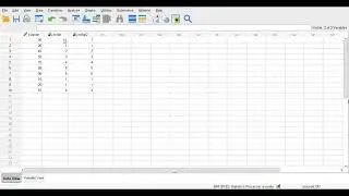 SPSS R VE PYTHON DA RECORD İNTO DİFFERENT İŞLEMLERİ