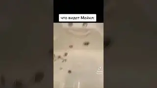 что видим