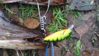 ASAKURA PERCH SR-F Review