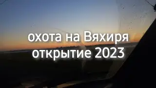 открытие охоты на Вяхиря 2023