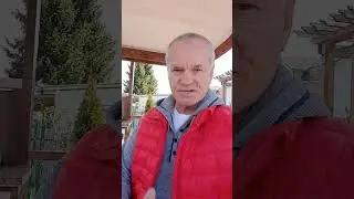 Помидоры - три волшебных правила по достижению максимальных урожаев!