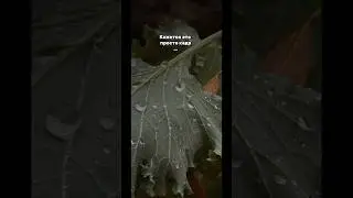Обучаю фотографии по коротким видео 