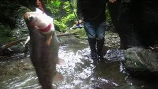 PESCA DE TRUCHAS EN LA SIERRA ECUATORIANA