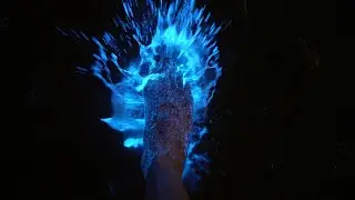 Spectacular marine bioluminescence!