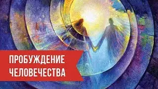 Awakening of mankind. Roman Golovin