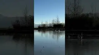 #gilan