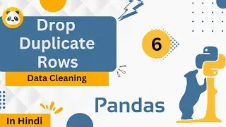 Drop Duplicate Rows | Data Cleaning | Introduction to Pandas | #pandas #python #leetcode