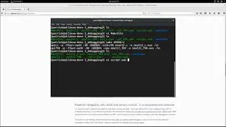 Getting started offline (non-interactive) debugging with Arm DDT (previously Allinea DDT)