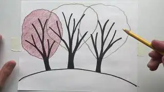 Primary & Secondary Trees