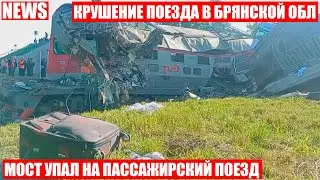 Мост рухнул на поезд в Брянской области