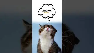 Gato faz compra na Amazon