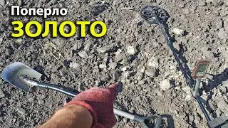 В таких місцях завжди є ЗОЛОТО.1 частина!Коп з minelab equinox 800