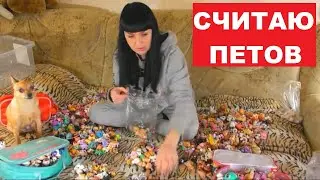 СЧИТАЮ СВОИХ ПЕТОВ. СКОЛЬКО У МЕНЯ ЛПС?