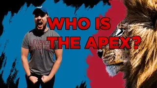 APEX WORKOUT!
