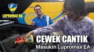 Cara Cewek Cantik Tuang LUPROMAX di Toyota Fortuner