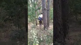 Альфа банк для всех, будь ты белка или волк