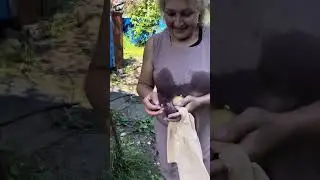 Почти как дома