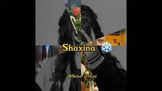 Shaxina ismiga video layk va obuna bo‘ling 😇❤