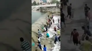 İlk defa böyle bir balık avlama gördüm. VİDEO HAKKINDA SİZ DÜŞÜNÜYORSUNUZ YORUMLARA YAZIN