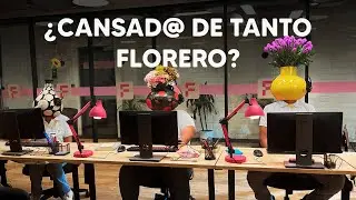 ¿Cansado de tanto florero?🎍