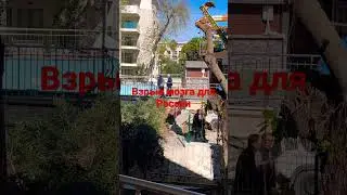 Взрыв мозга 🤯 Полусухая  стяжка на улице у бассейна.