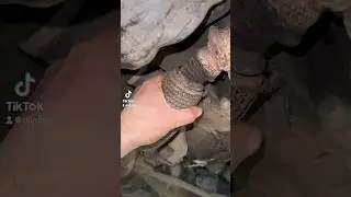 Exhaust flexi has seen better days! 