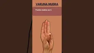 Yoga Mudras in Promoting Kidney Health 