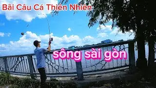 Khám phá nhiều bãi câu ở sài gòn | câu cá tra #phieu xu dua