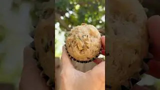 Vegan Zucchini Muffins