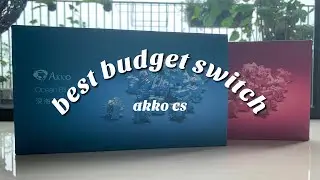 BEST BUDGET SWITCH?: Akko CS Switch Review | Unboxing, Typing & Comparisons on Keychron K2 🌹🍵🌊