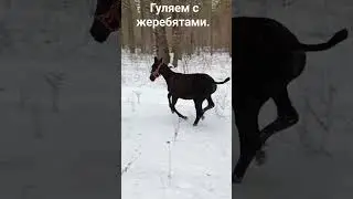30 ноября 2023 г.